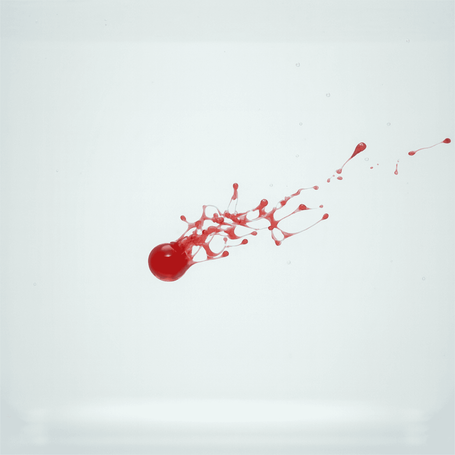 header image of what's up orbital art gallery study