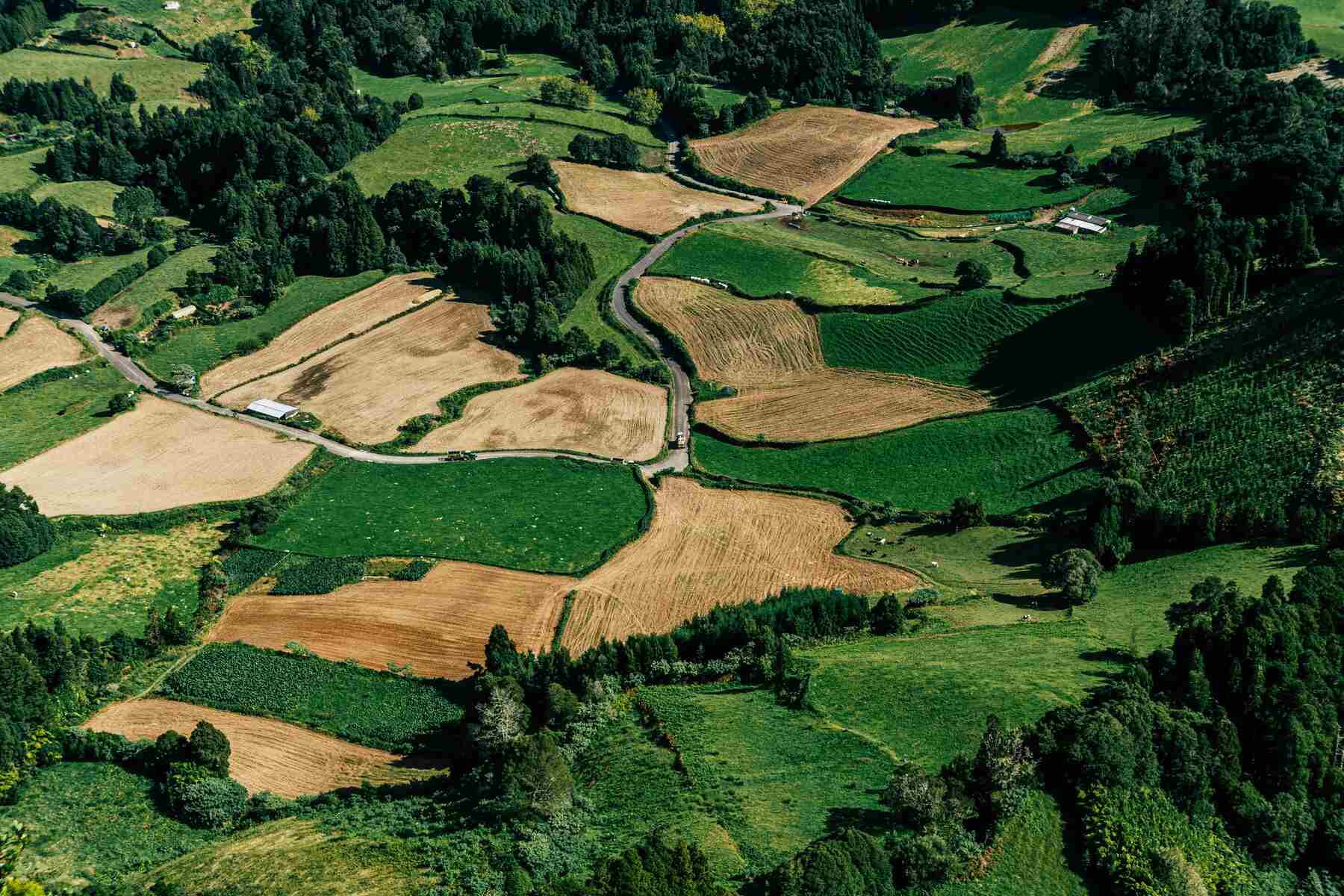 Aerial view of patchwork green farmland