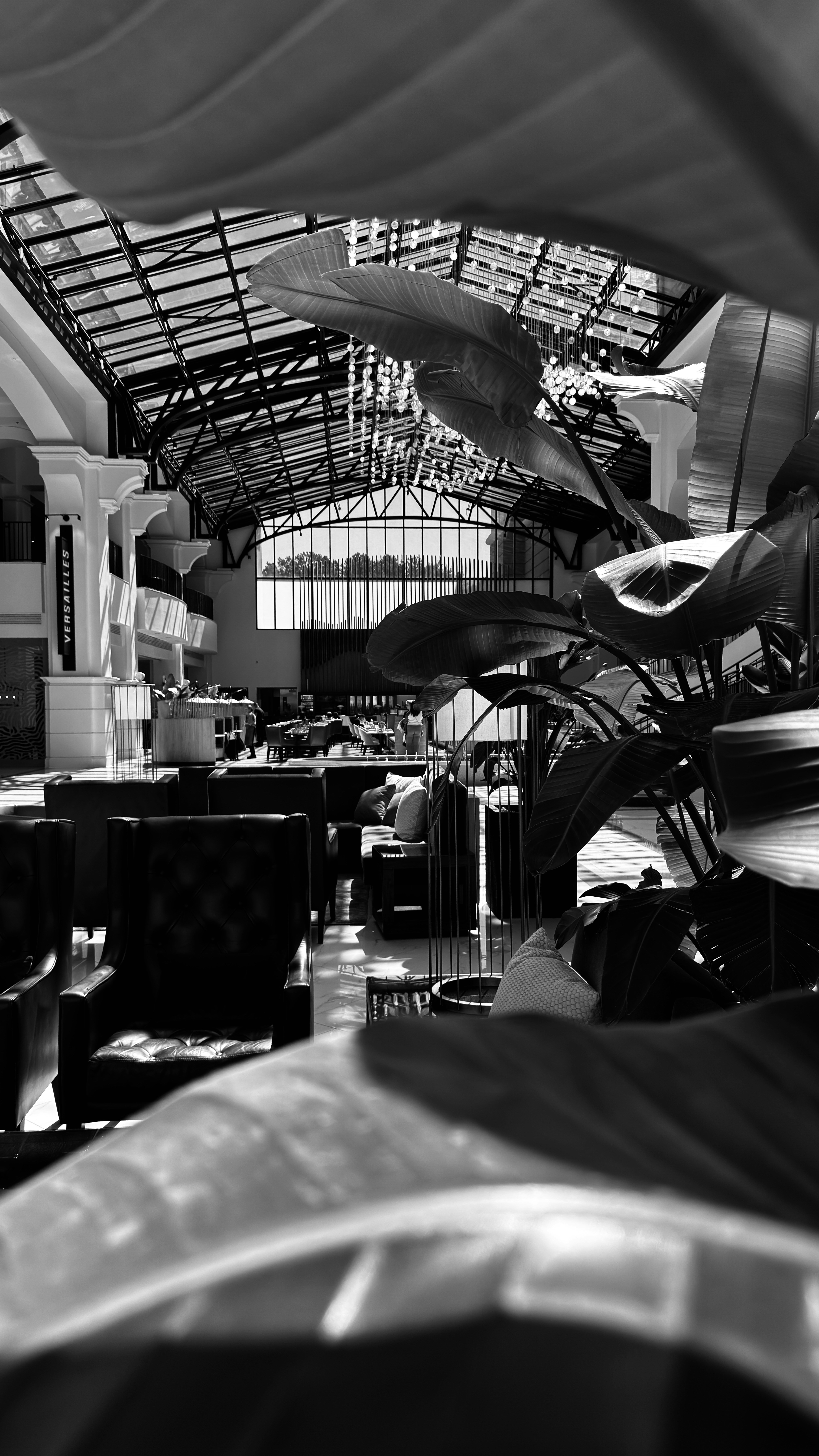 five person standing while talking each other