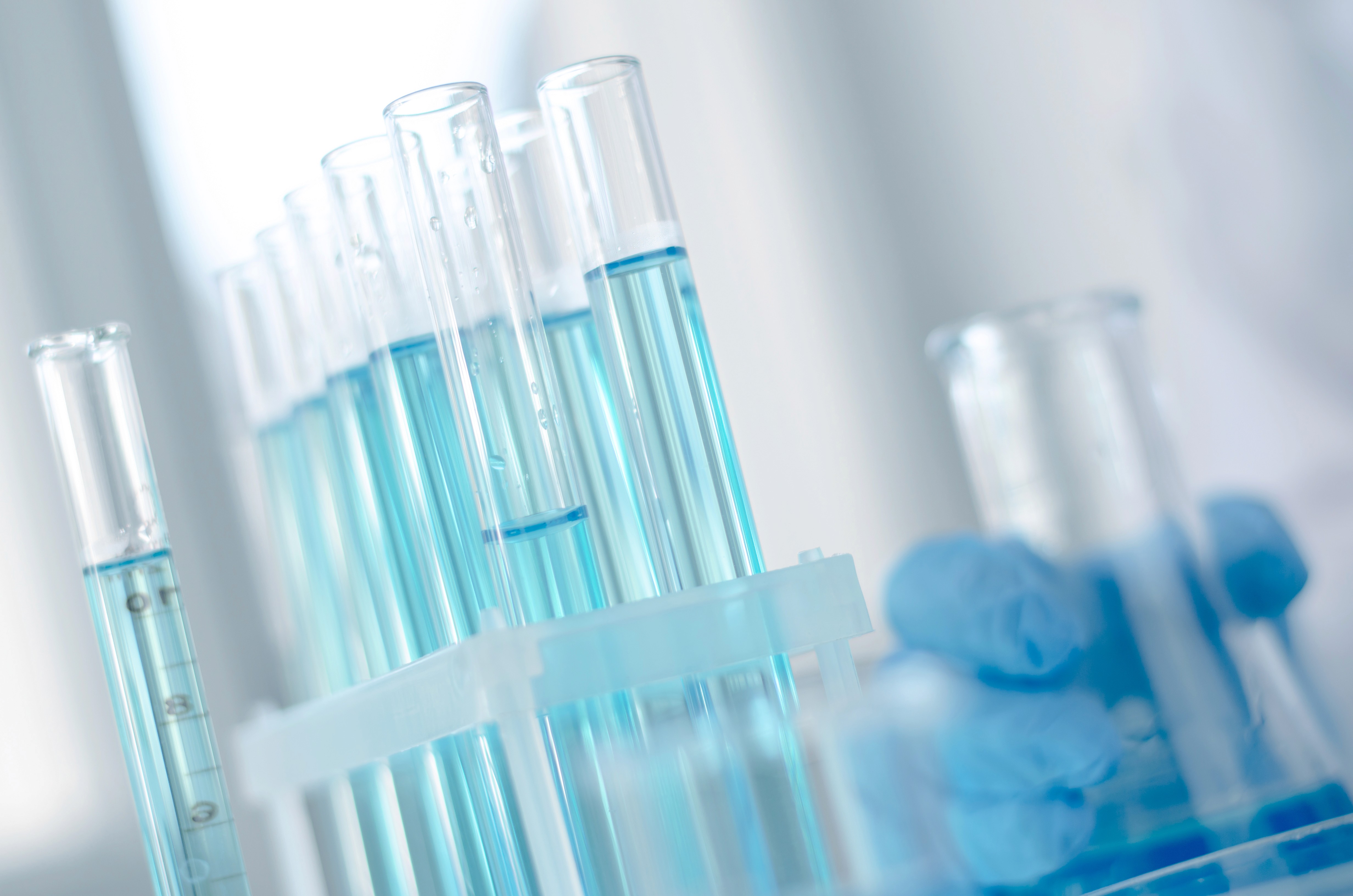 The image featured at the bottom of the about us page