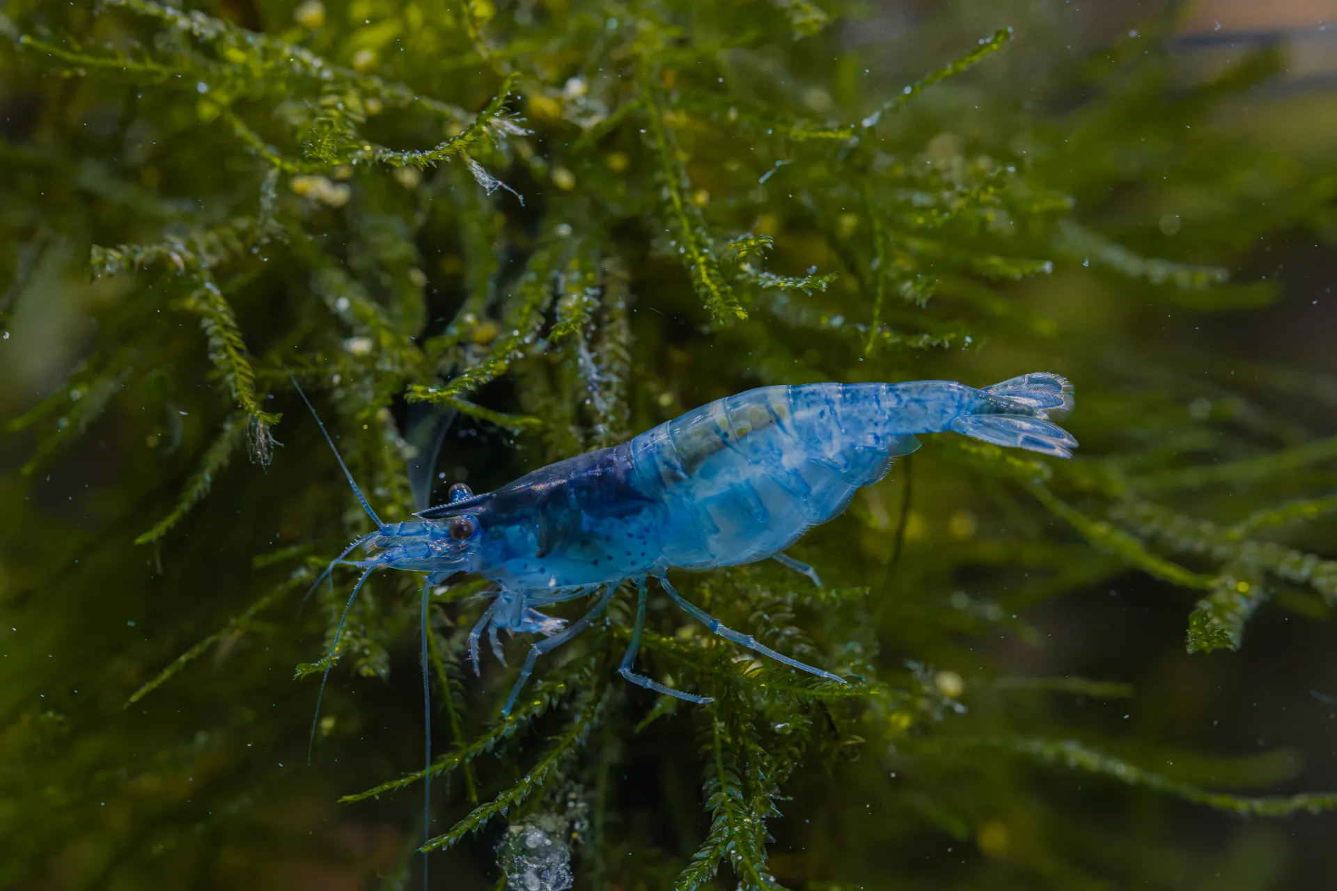Man Wearing Sunglasses