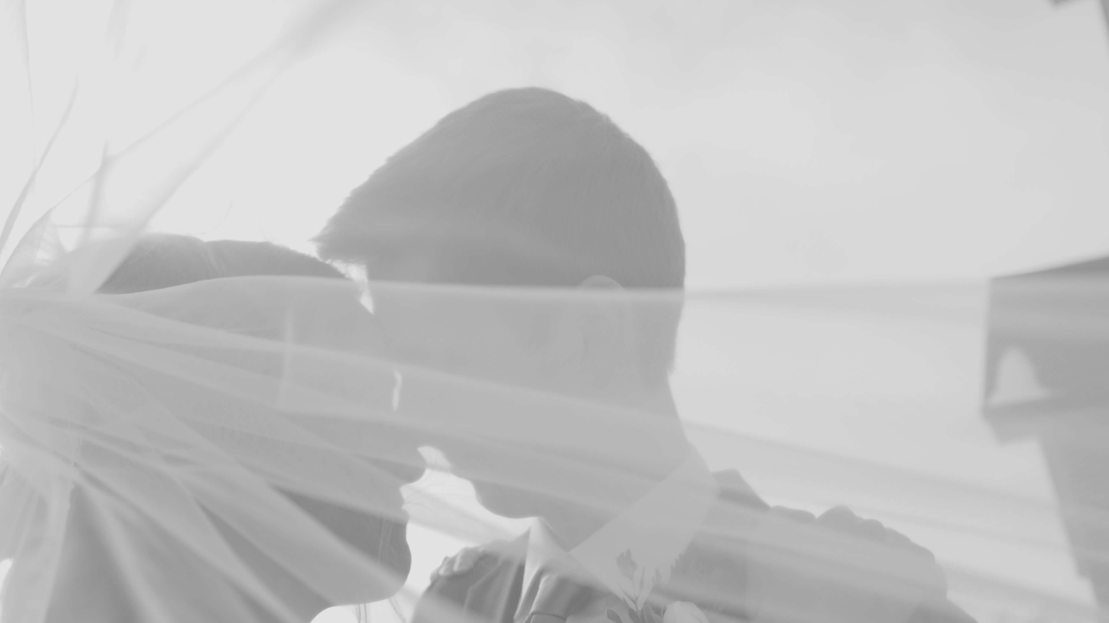 A silhouette of a couple with their foreheads together under a wedding veil