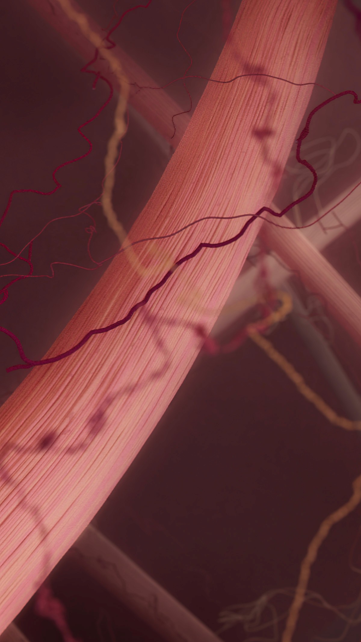 Collagen and fibrin fibers in normal tissue