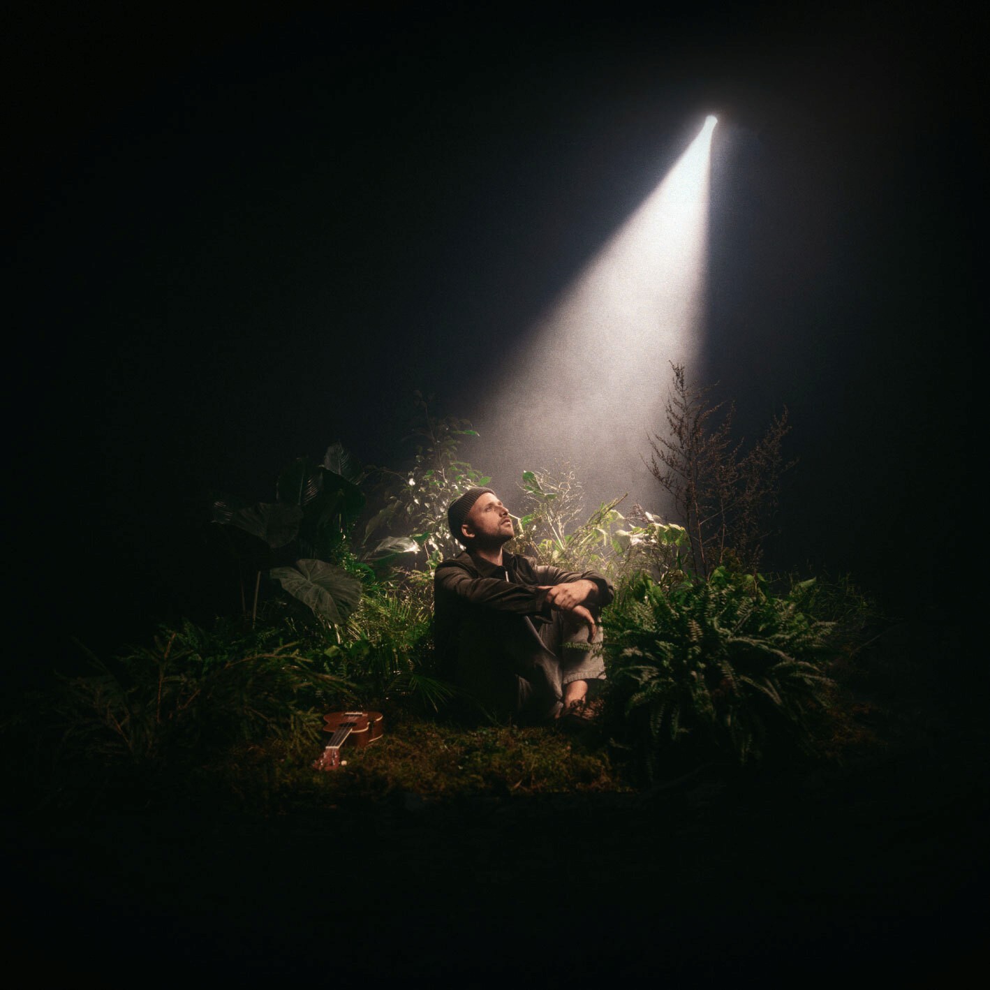 Musician sitting among plants under a single spotlight, The Understory album