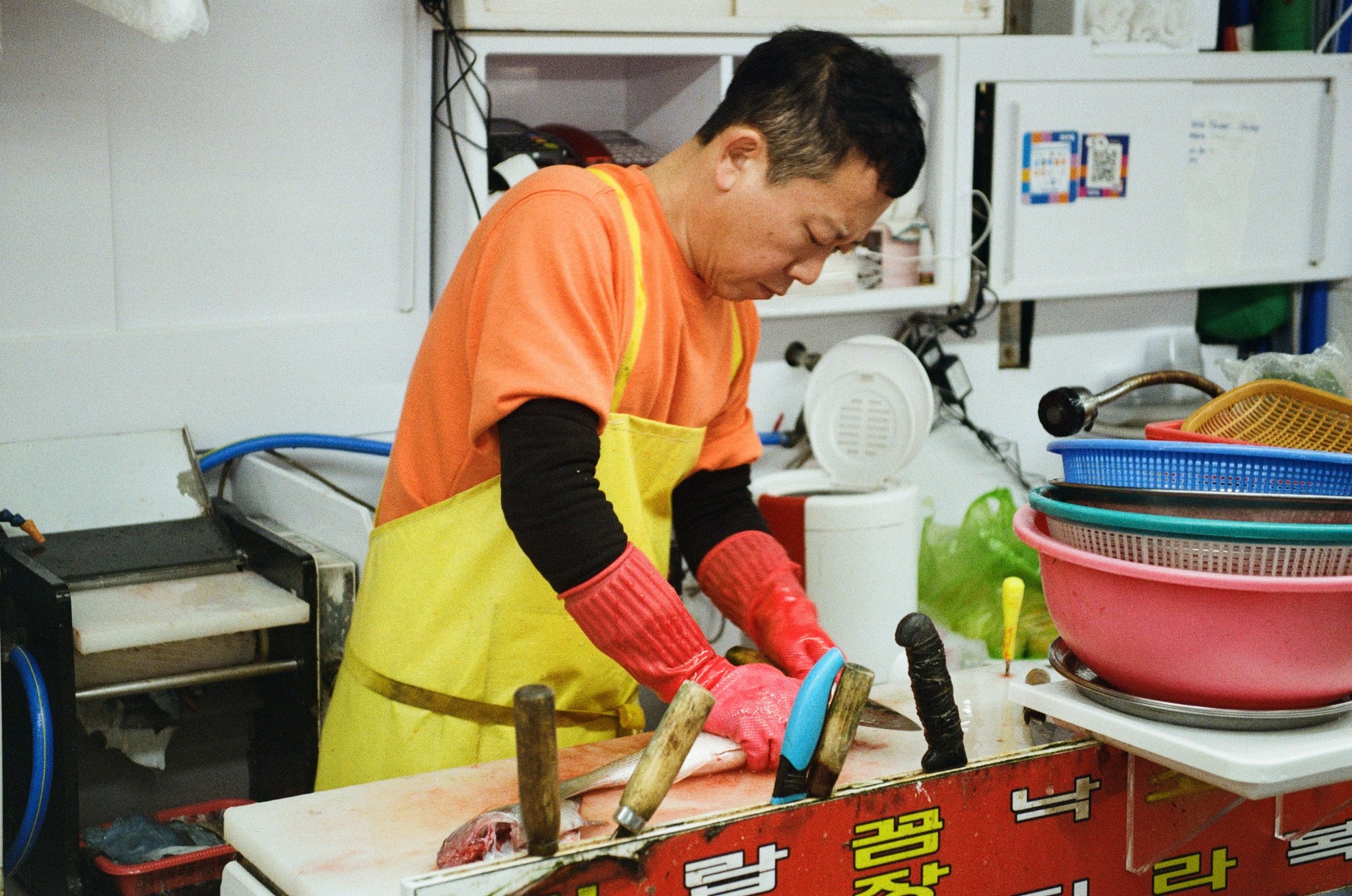 Argentique, canon, Korea, poissonier, homme