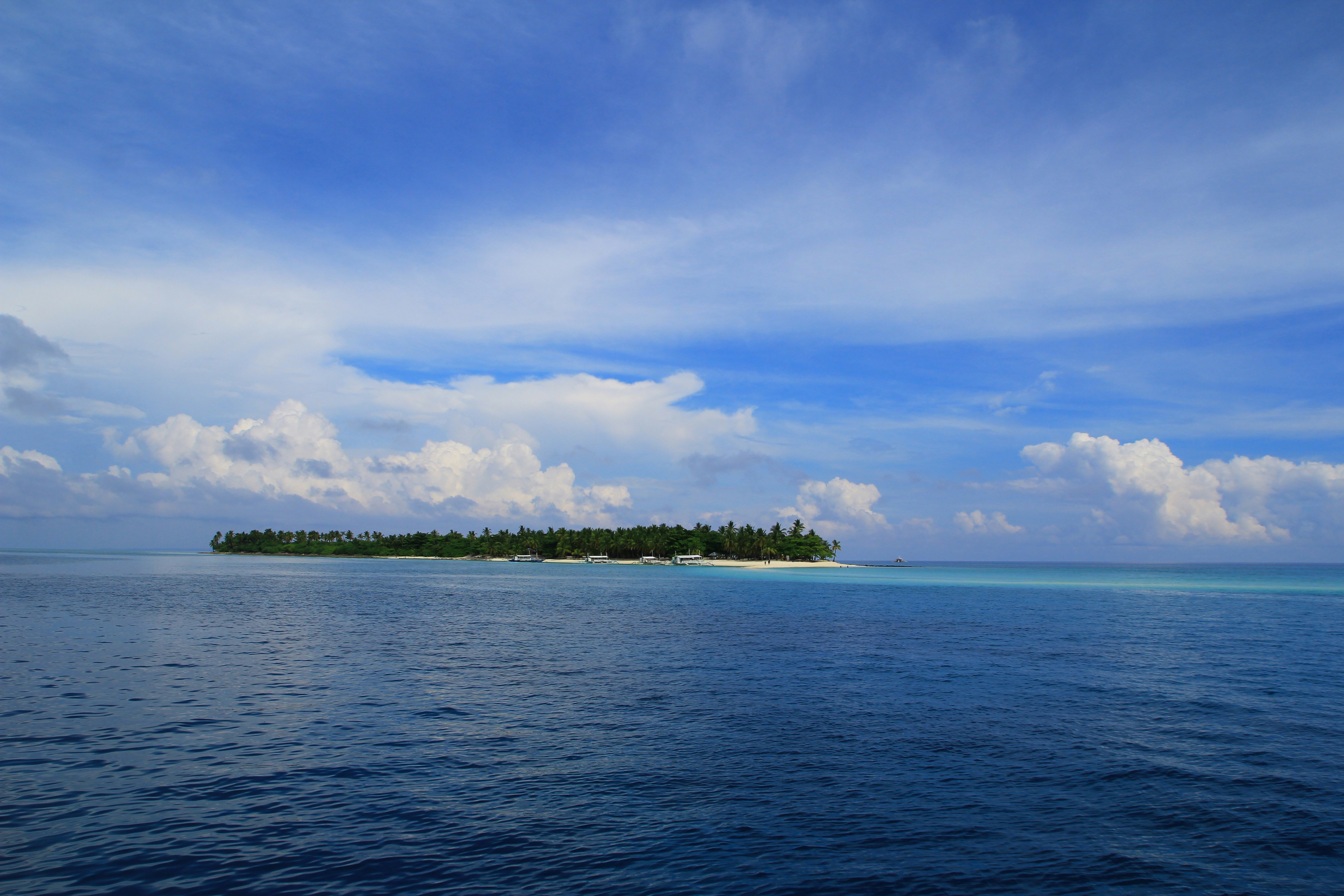 A wooden walkway leading to a body of water