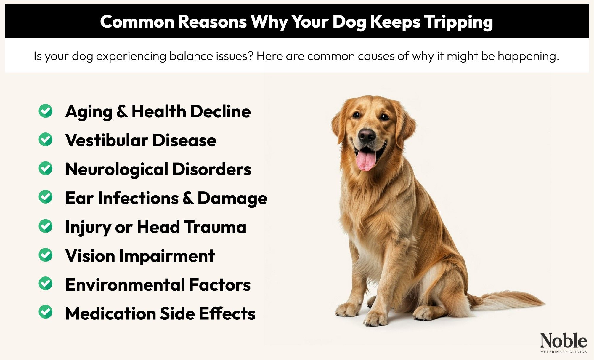 An infographic showing the common reasons why your dog keeps tripping