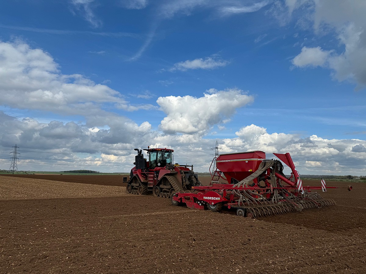 A red Case IH Quadtrac tracked tractor with a Horsch precision seed drill sowing peas across a large cultivated field under a dramatic cloudy sky, with electricity pylons on the horizon.