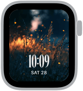 firefly fm Apple Watch face preview 5 featuring summer.