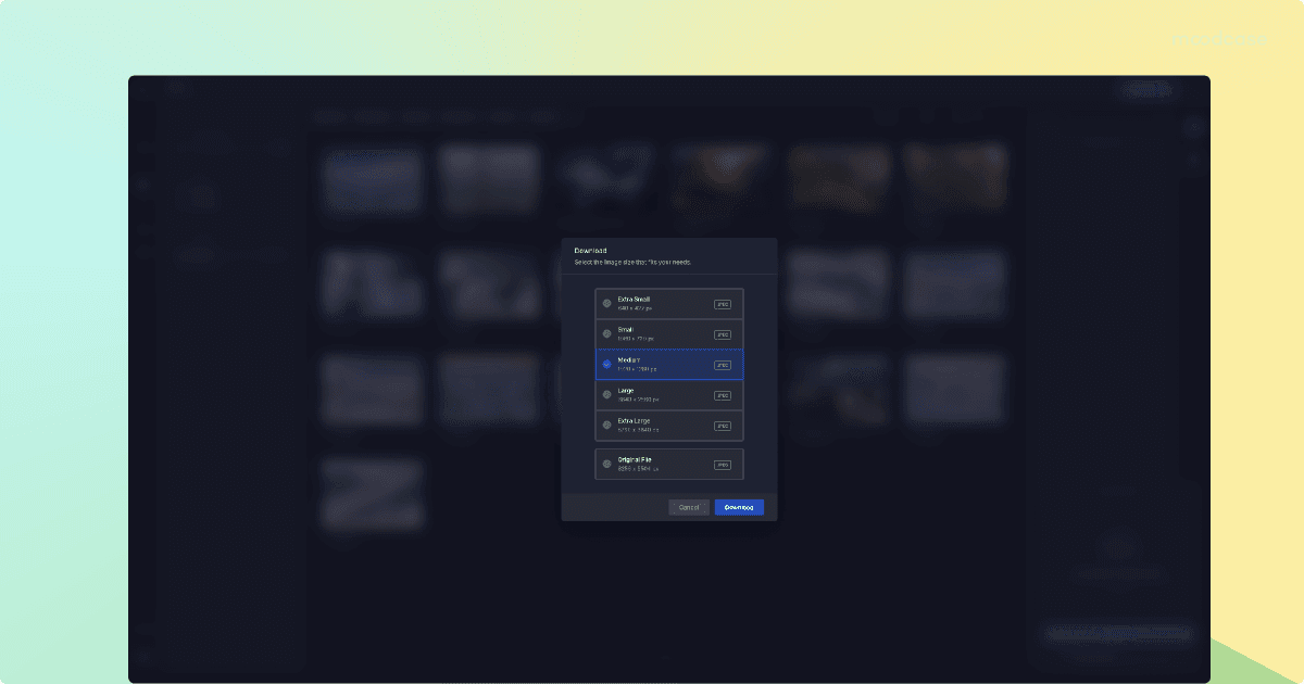 Image selection menu for download sizes over a blurred multicolored background.