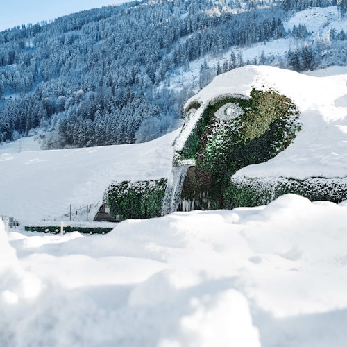 Innsbruck'un En İyileri biletleri