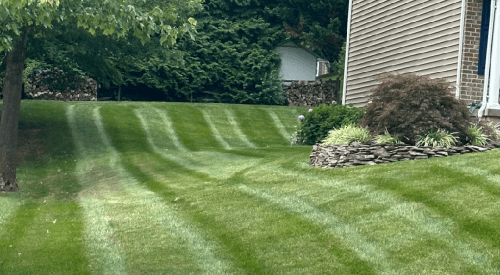 Freshly cut grass in Carroll County, MD