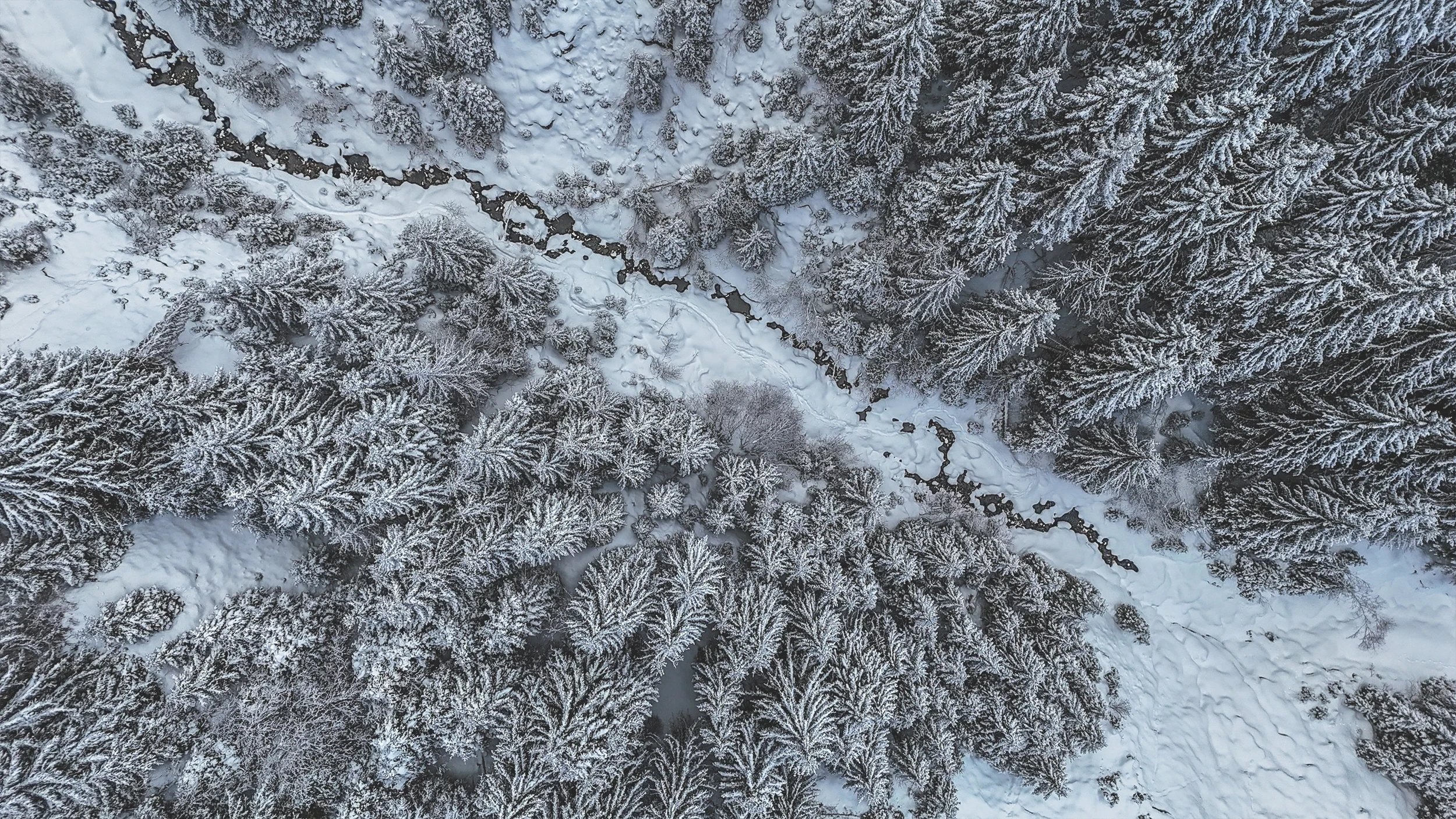 La Sasse, fôret vue de drone