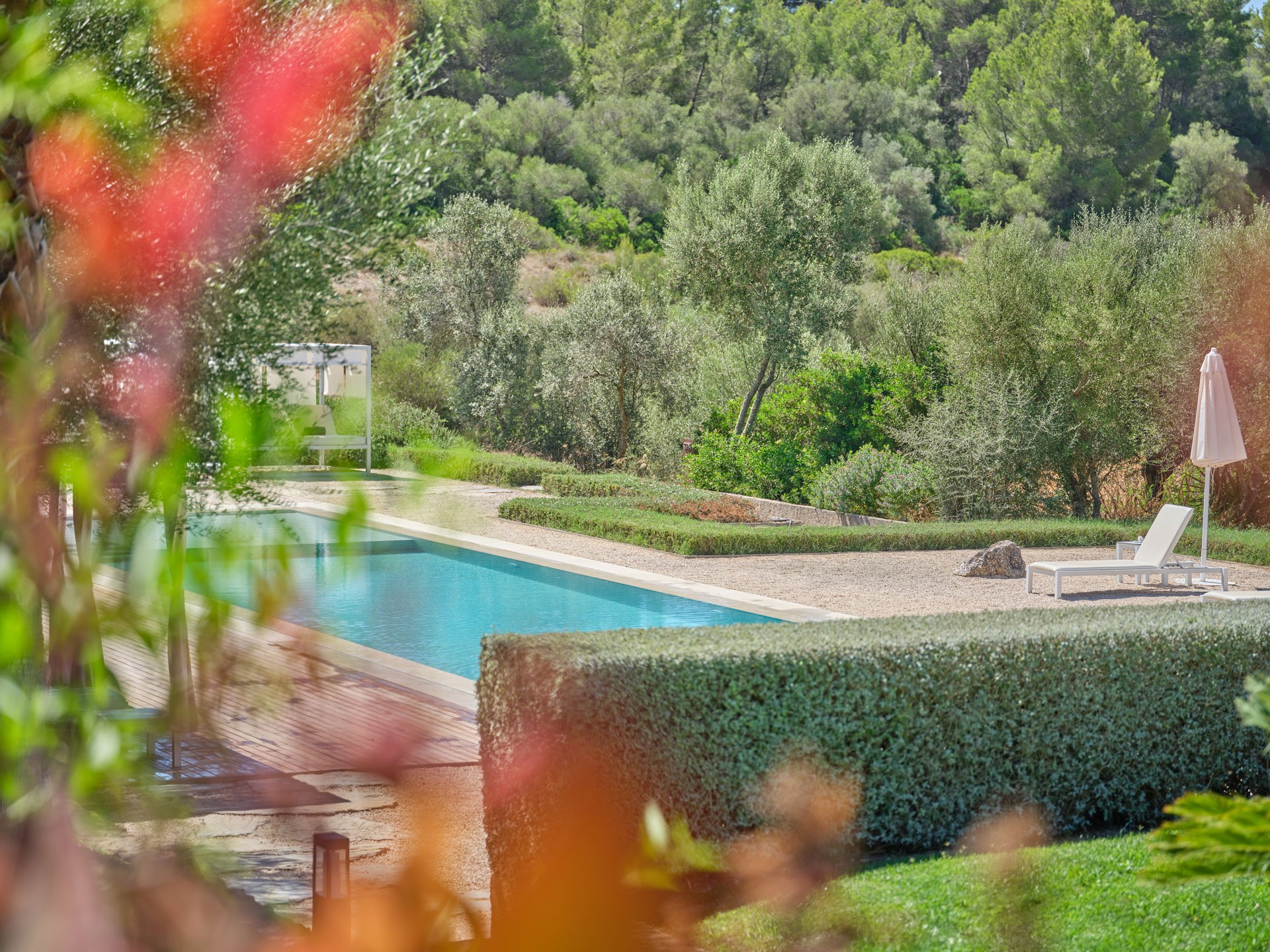 Junior Suite Son Penya