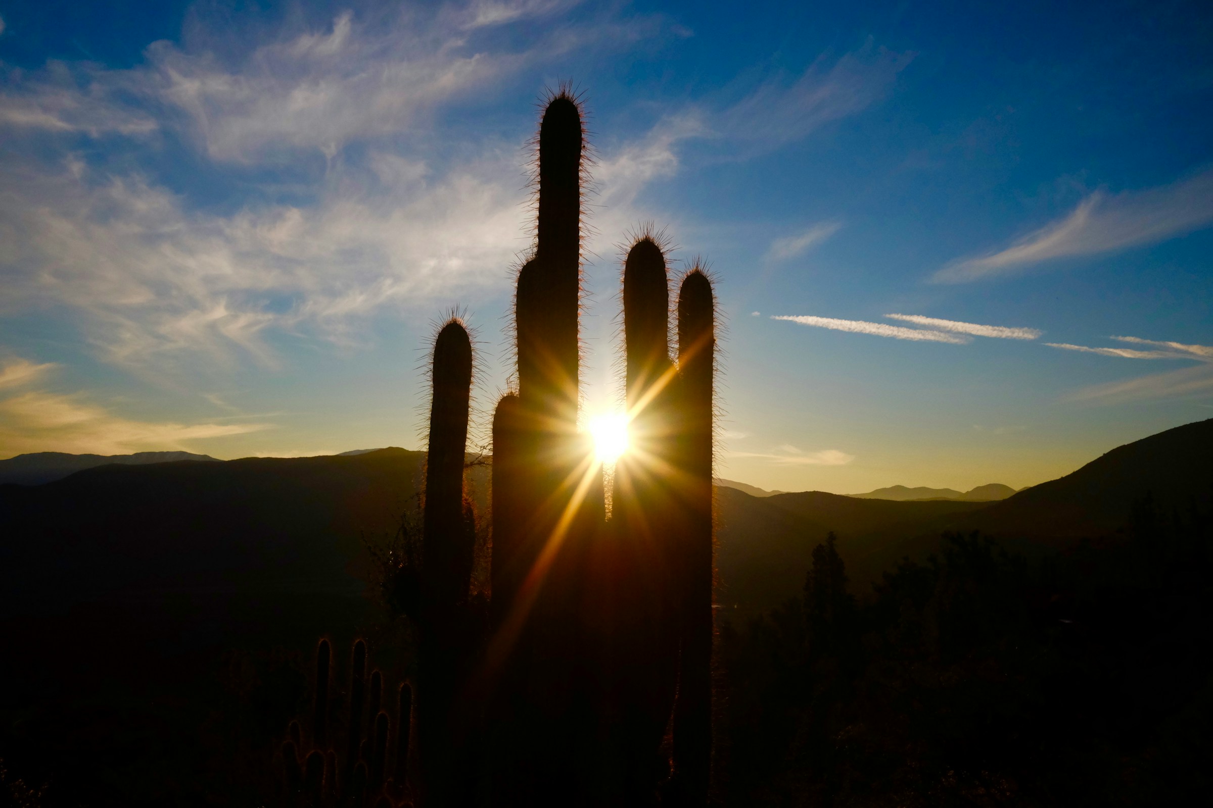 last ray of sunshine - Can You Get Vitamin D from the Sun After 4 PM?