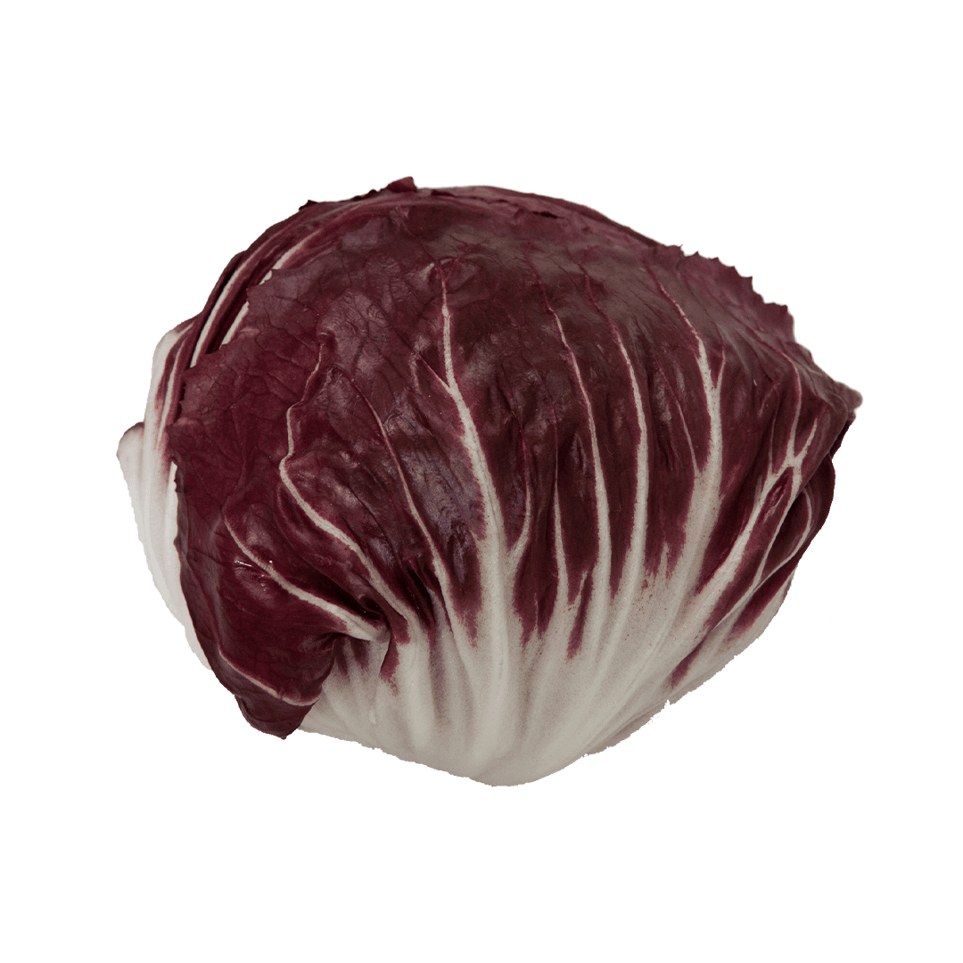 chicoria-radicchio