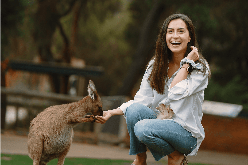 A fluffy gray rabbit rests on a floral chair.