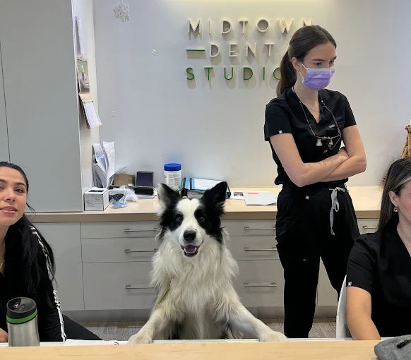 Dental receptionists and the dental office dog at Midtown Dental Studio on Eglinton in Midtown Toronto, Ontario | Best Dentist in Midtown Toronto, Ontario