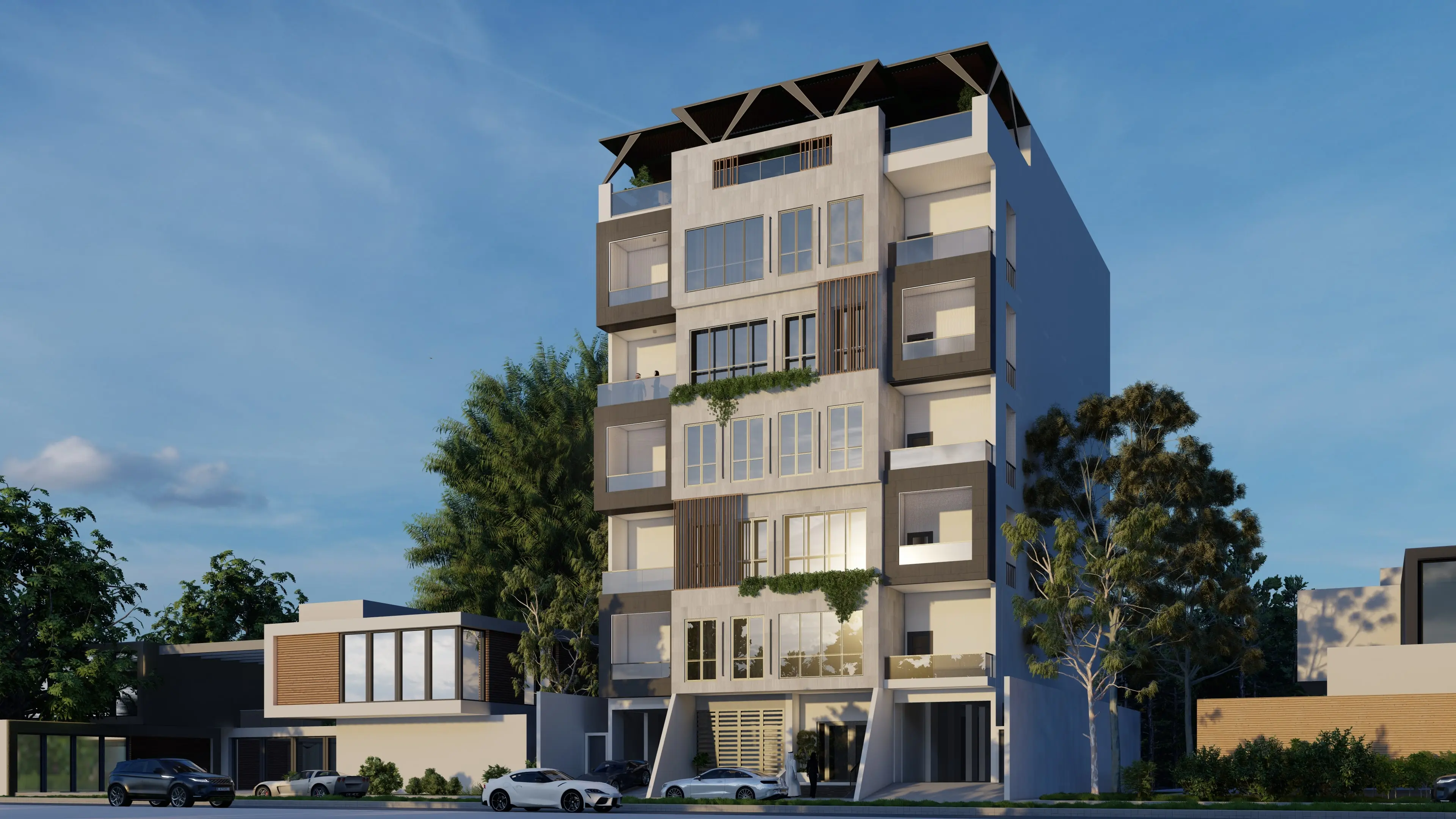 Project Image 1