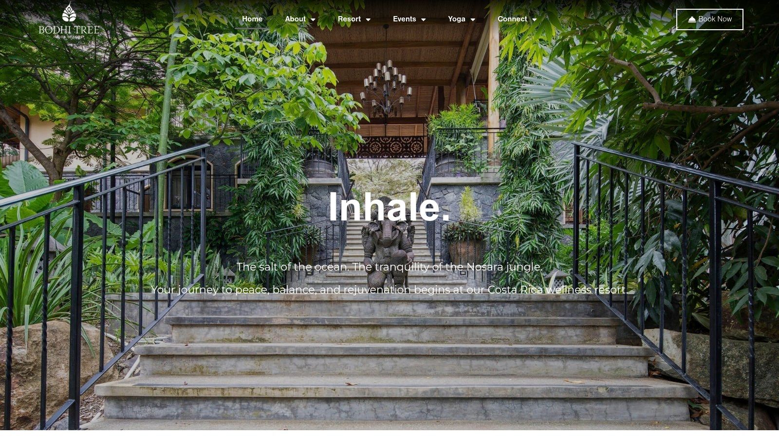 Bodhi Tree Yoga Resort