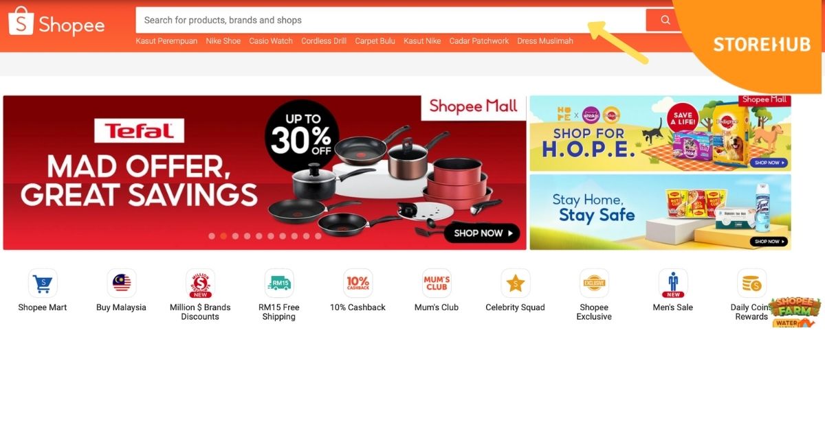 The Search Option for an online business