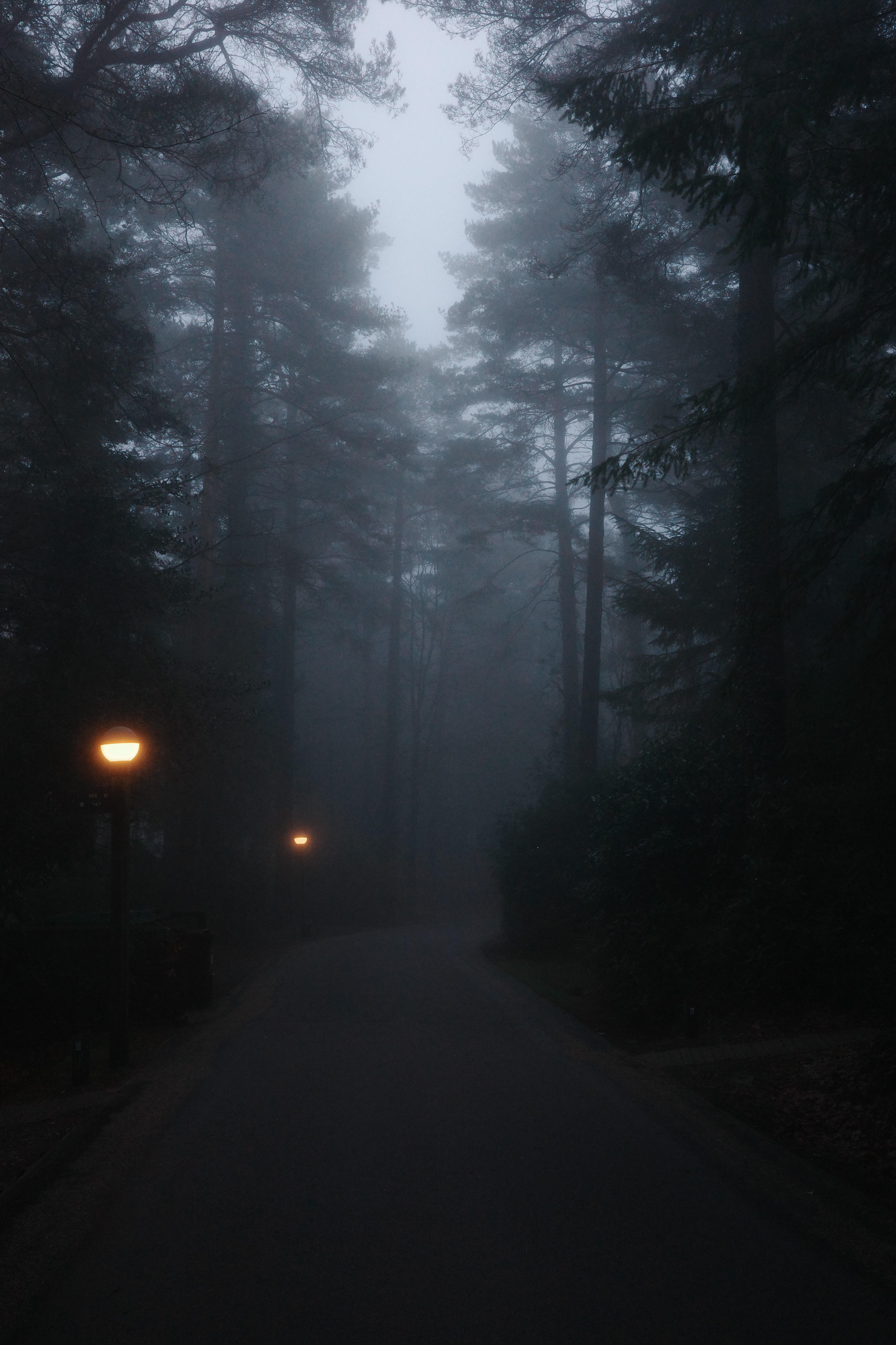 Center Parcs, Longleat