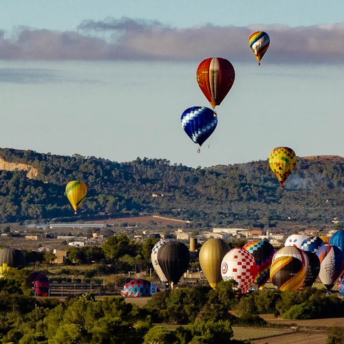 Des montgolfières de différentes couleurs et motifs flottent au-dessus d'un paysage vallonné avec des arbres et des bâtiments.
