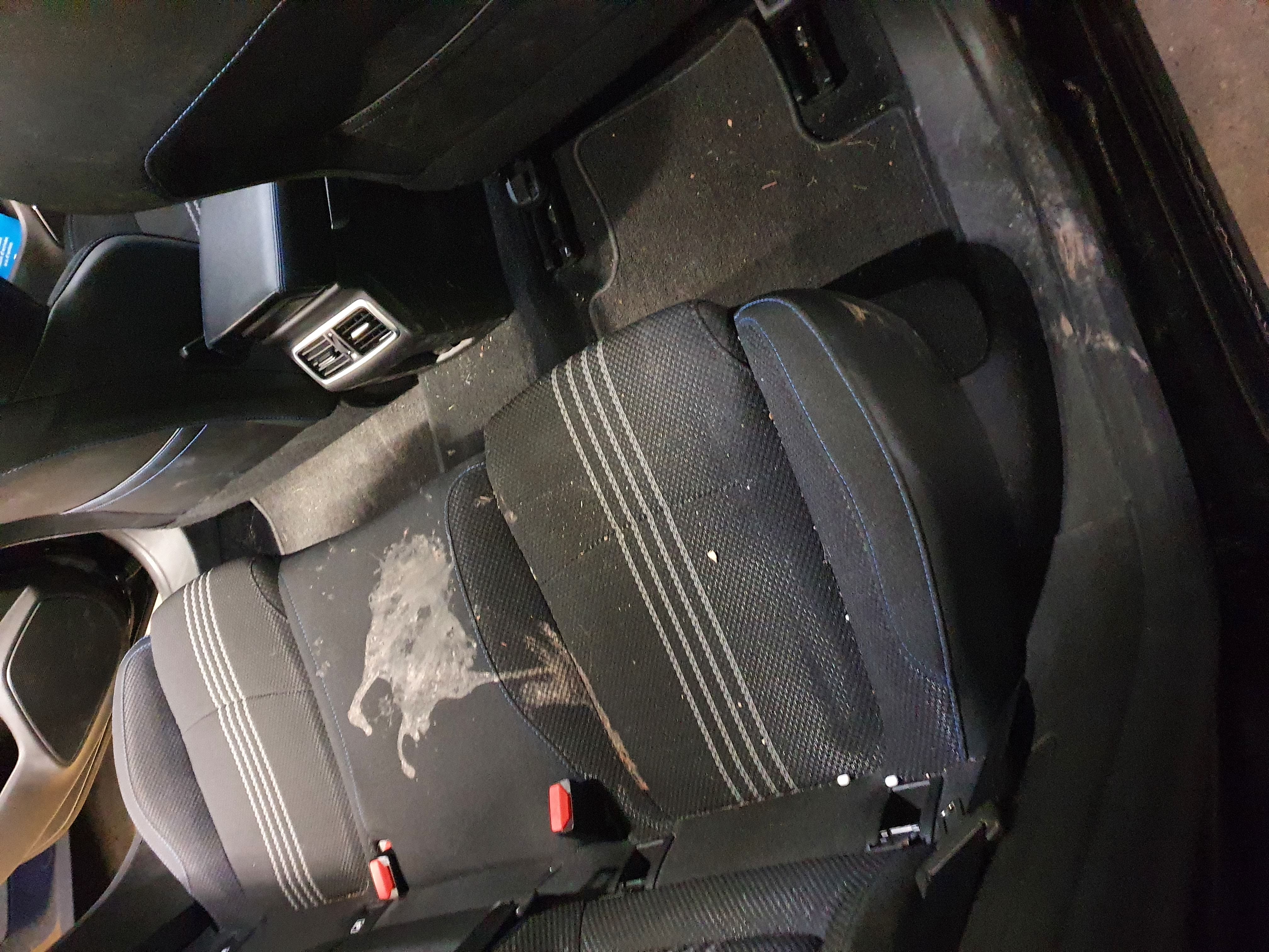 Beseitigung von Erbrechen und unangenehmem Geruch im Auto in Zürich