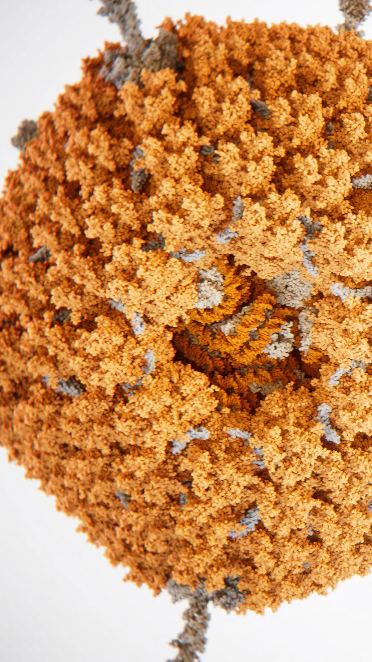 Adenoviral vector particle with one of the vertices removed to show the genetic material inside