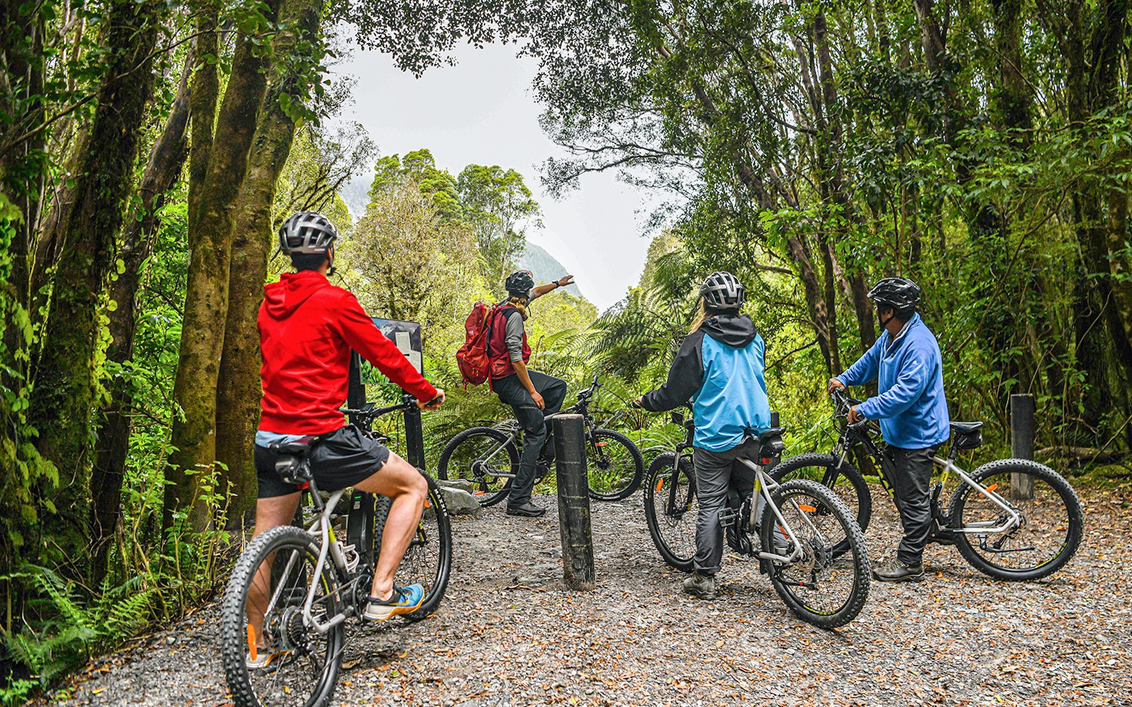 Guía turístico liderando un grupo en bicicletas eléctricas a través del sendero forestal del Valle del Glaciar Fox.