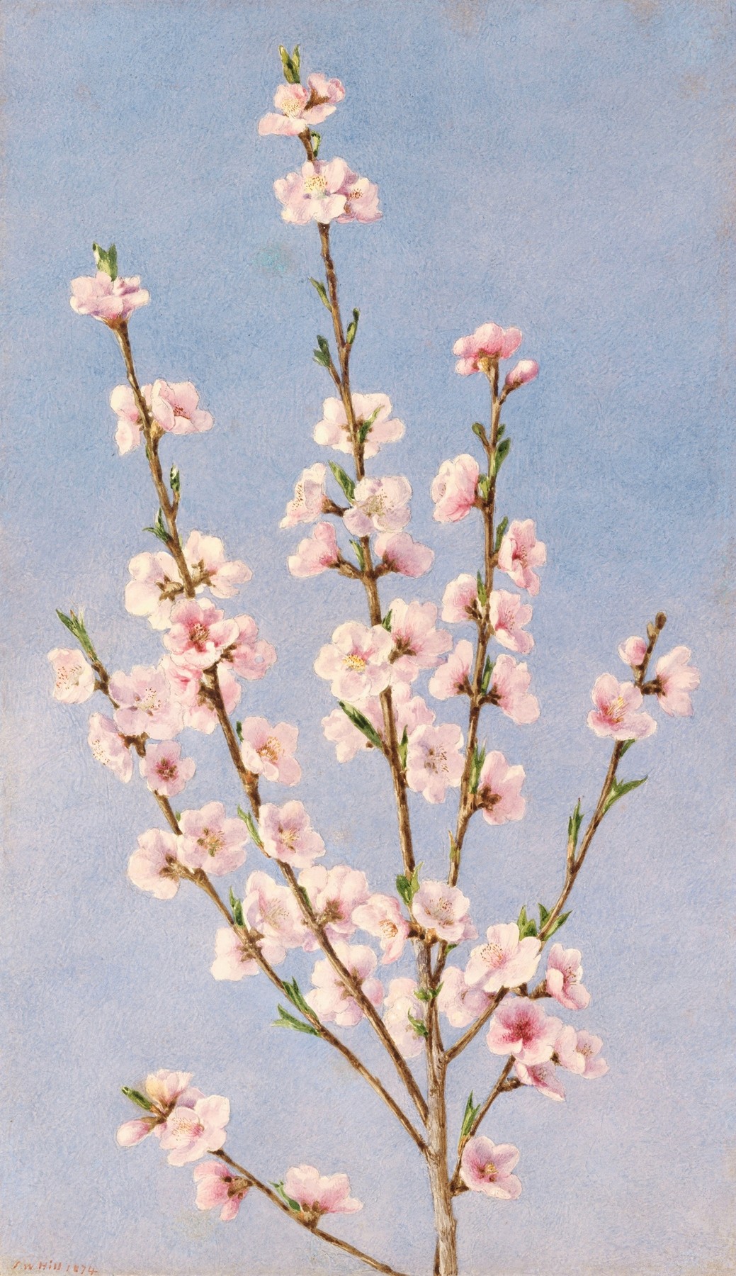 An artwork showing some peach blossoms flowers