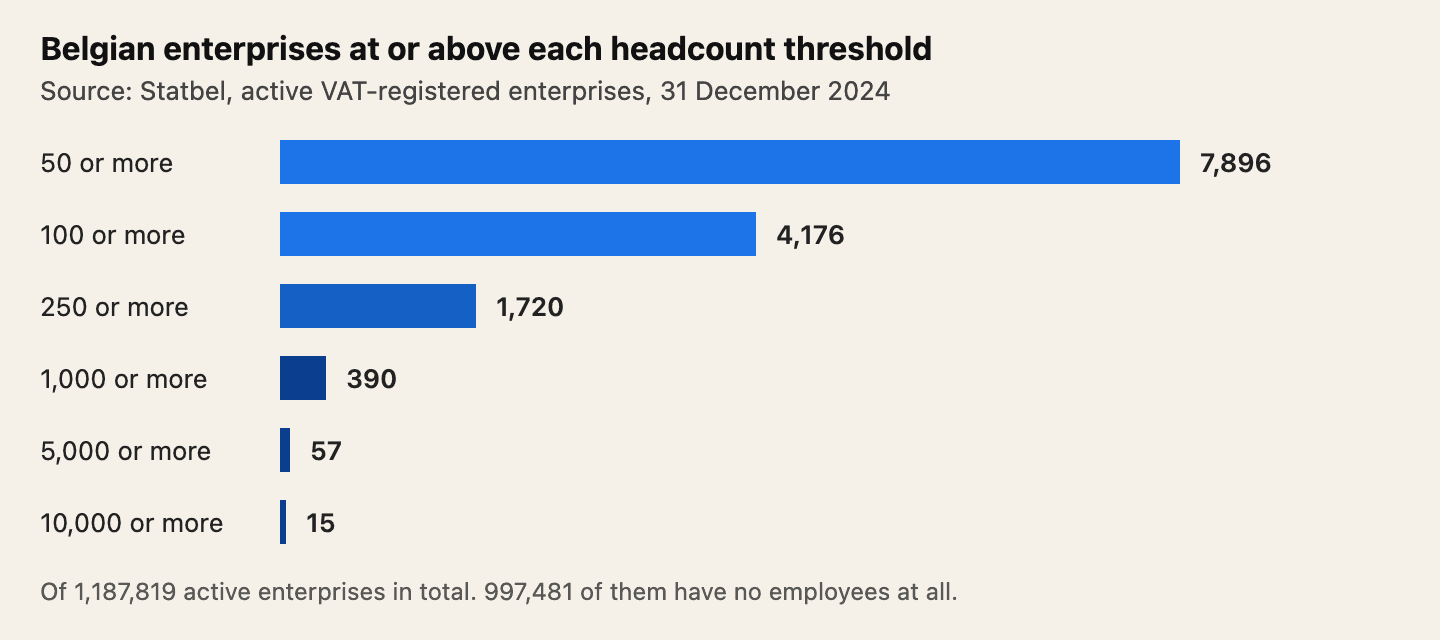 Source: Statbel, 31 December 2024. Belgium has 7,896 enterprises with 50 or more employees, 4,176 with 100 or more, 1,720 with 250 or more, 390 with 1,000 or more, 57 with 5,000 or more and 15 with 10,000 or more.