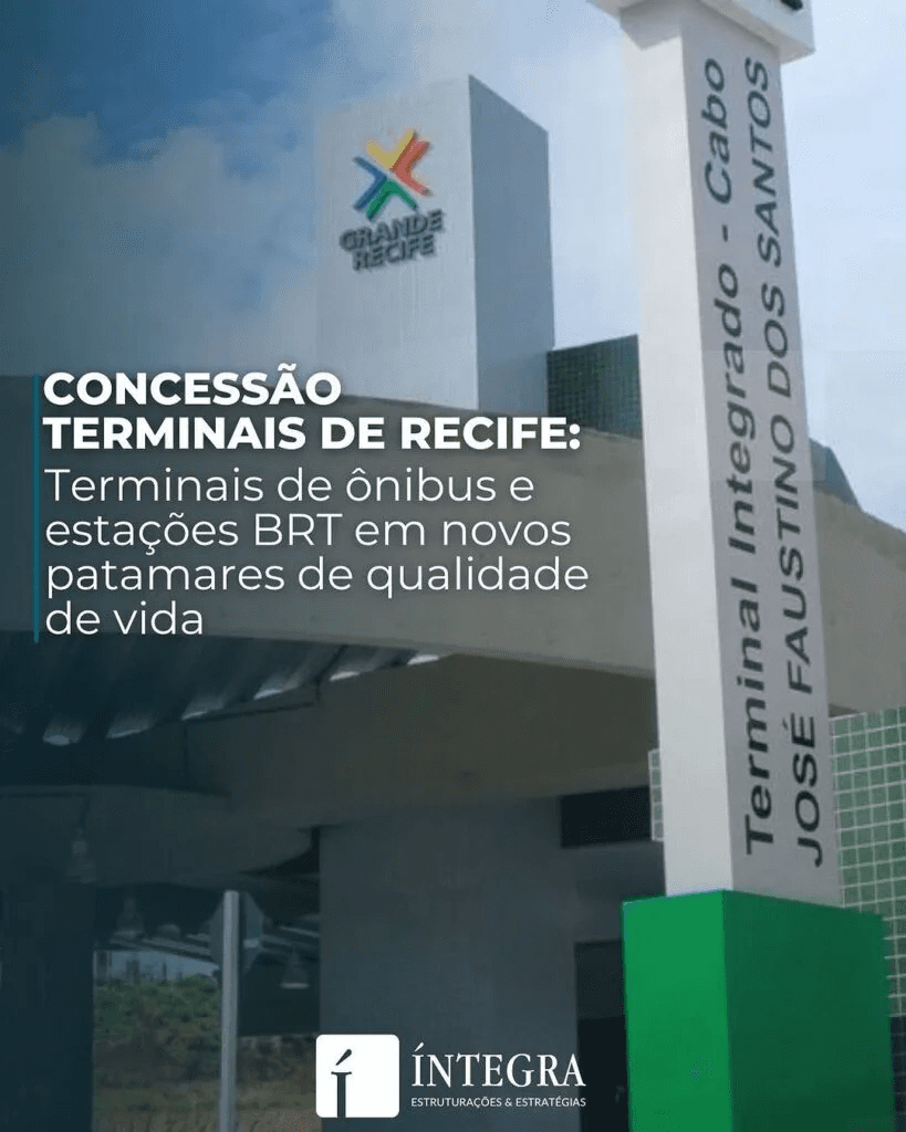 Close-up of lush, dark green leaves, some glossy and wet, against a muted background.