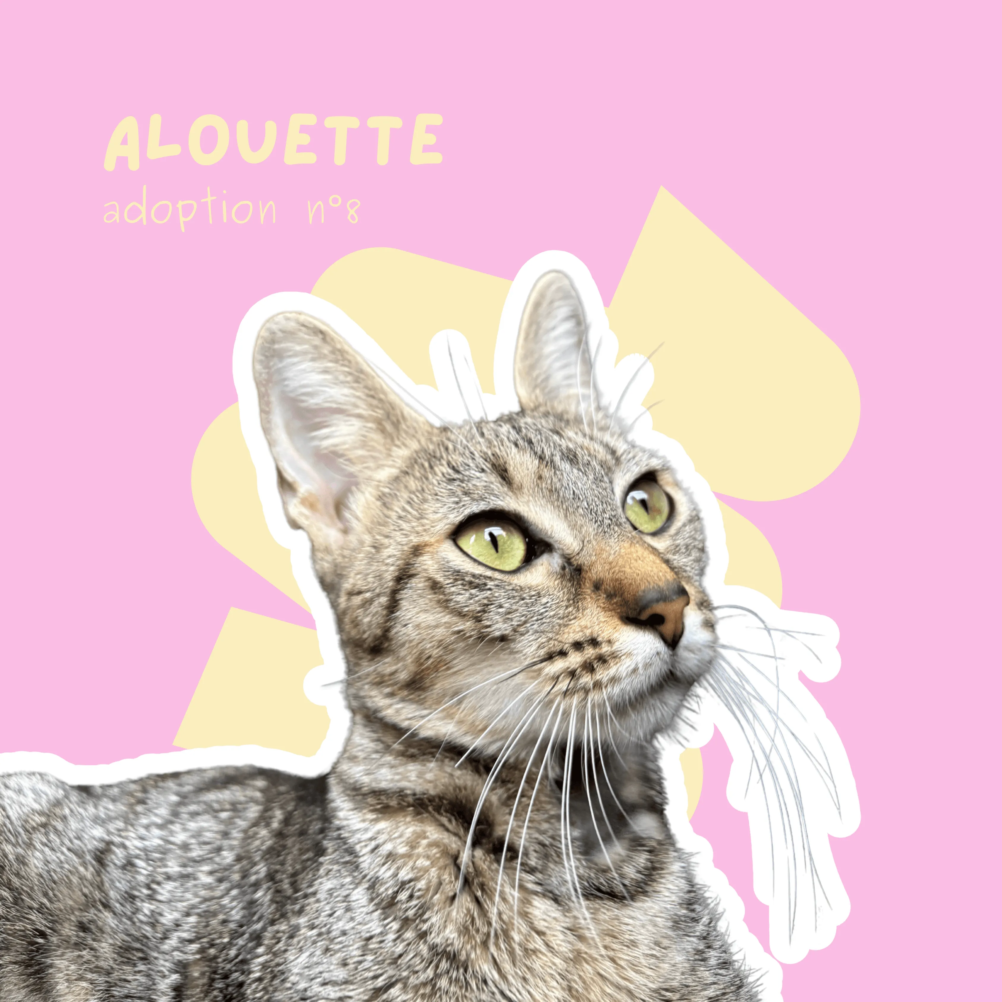 chat-alouette