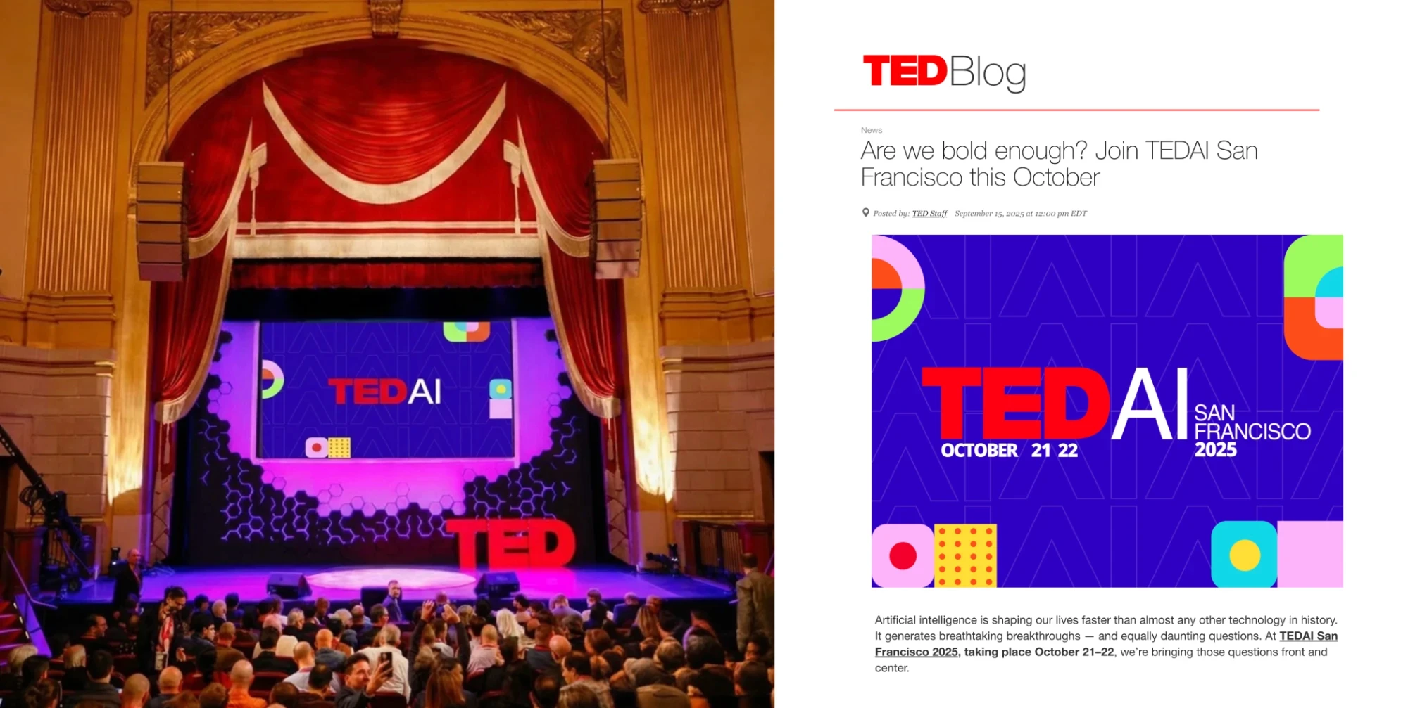TEDAI San Francisco newsletter