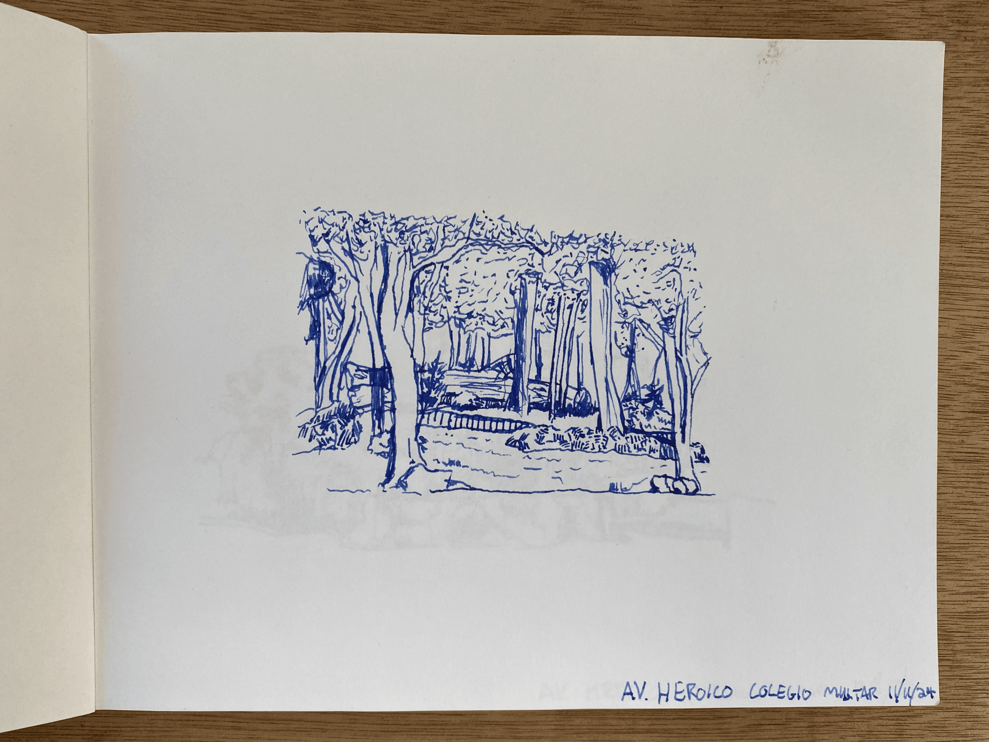 Theo Berry: Urban Sketch in Mexico City