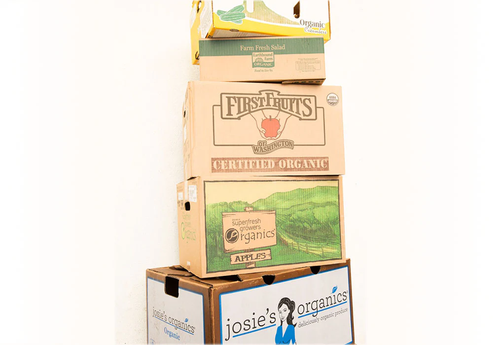 photography of people inside room during daytime