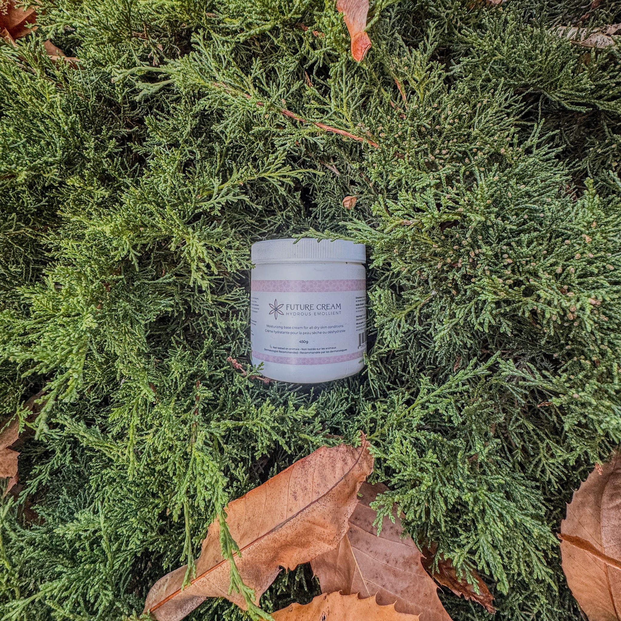 Future Cream on Beach