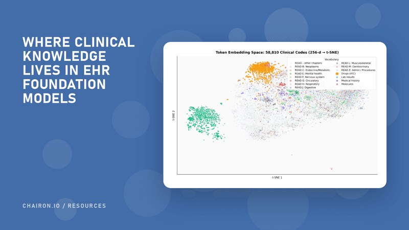 WHERE CLINICAL KNOWLEDGE LIVES IN EHR FOUNDATION MODELS — thumbnail