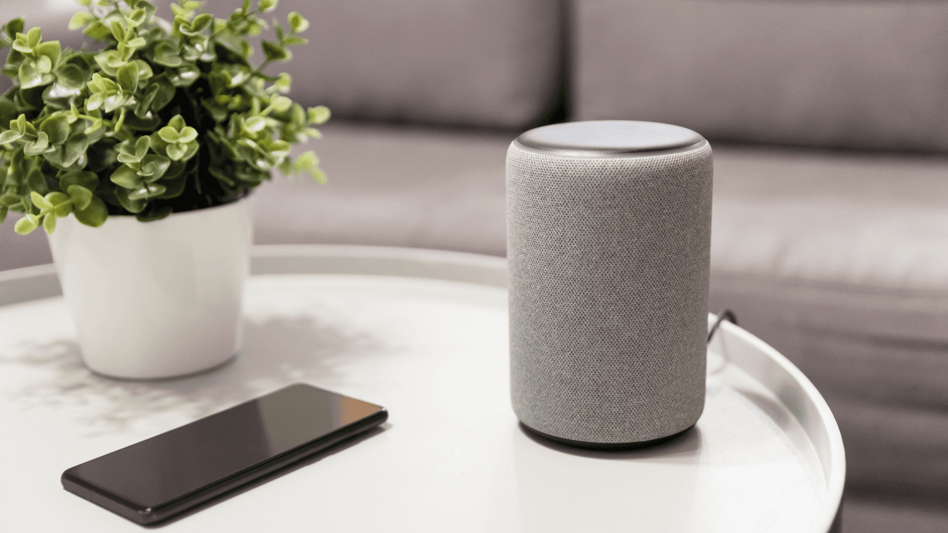 Securing Smart Speakers and Digital Assistants