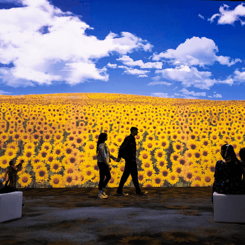 People walk by a digital display of a vast sunflower field under a blue sky with clouds; a few seated individuals observe.