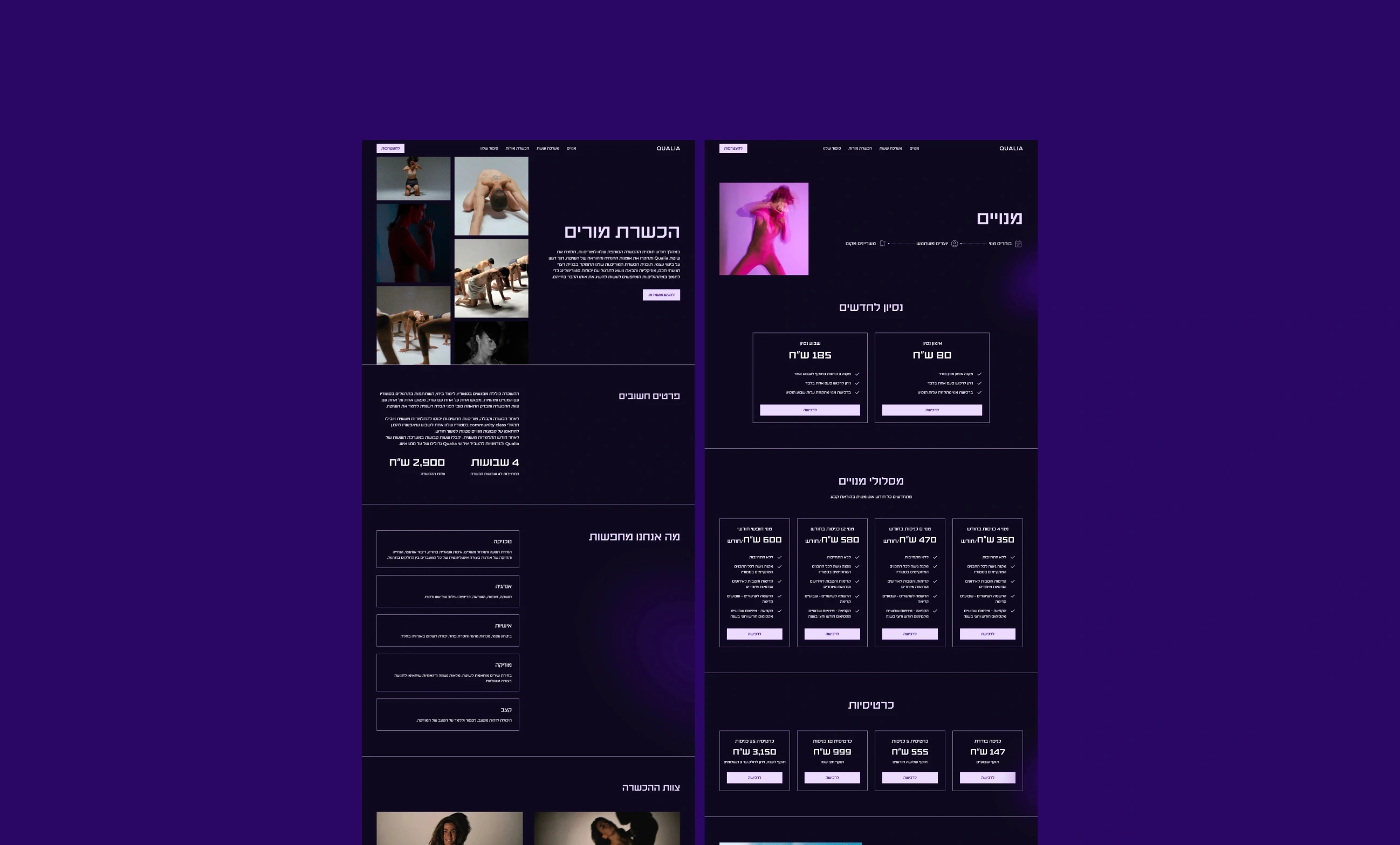 Large Project Gallery Image #2