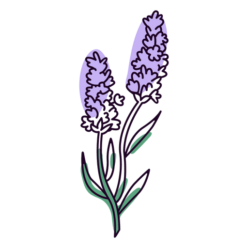 flower png