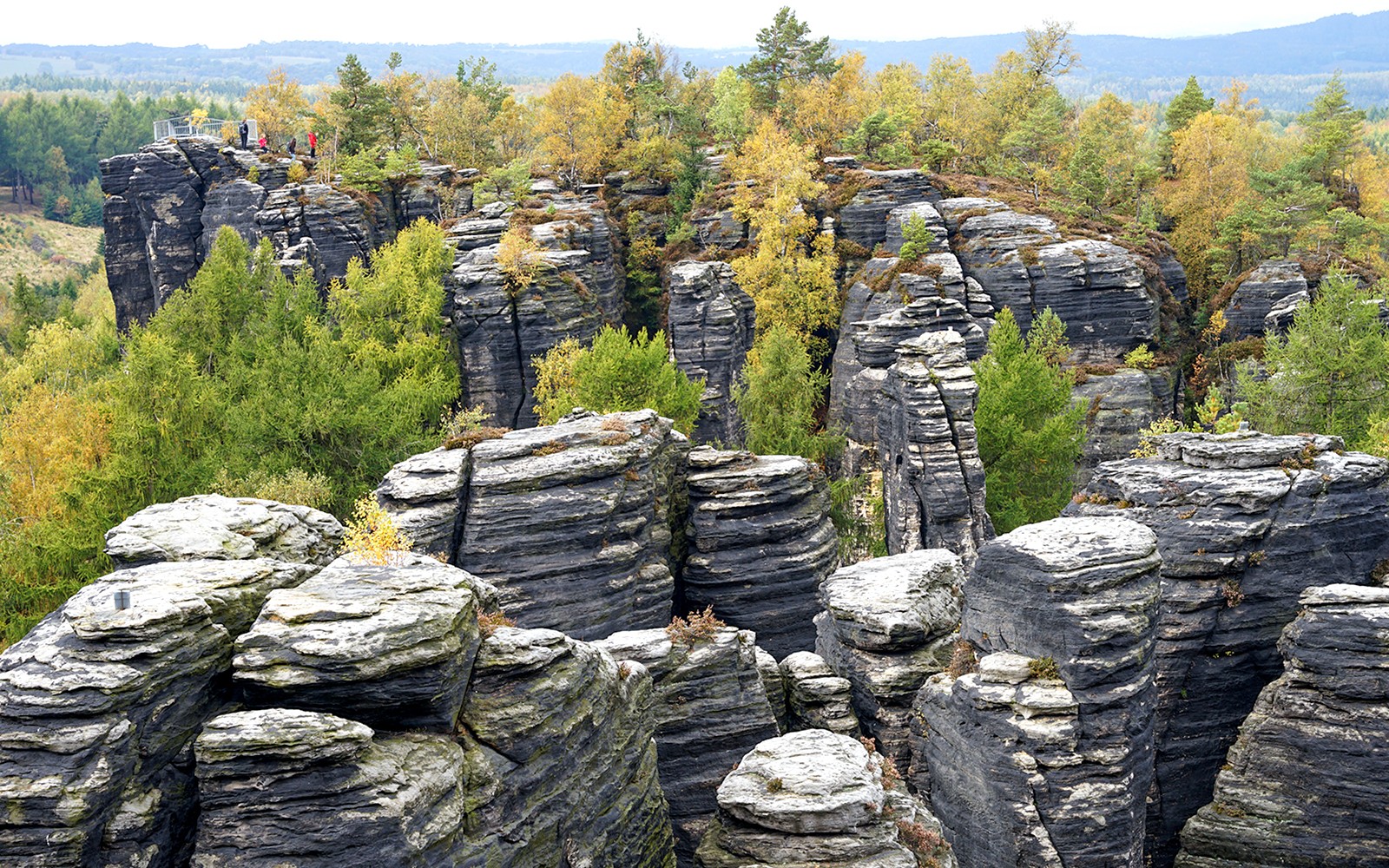 蒂萨墙迷宫的砂岩地貌景观，点缀着树木和远处的山丘。