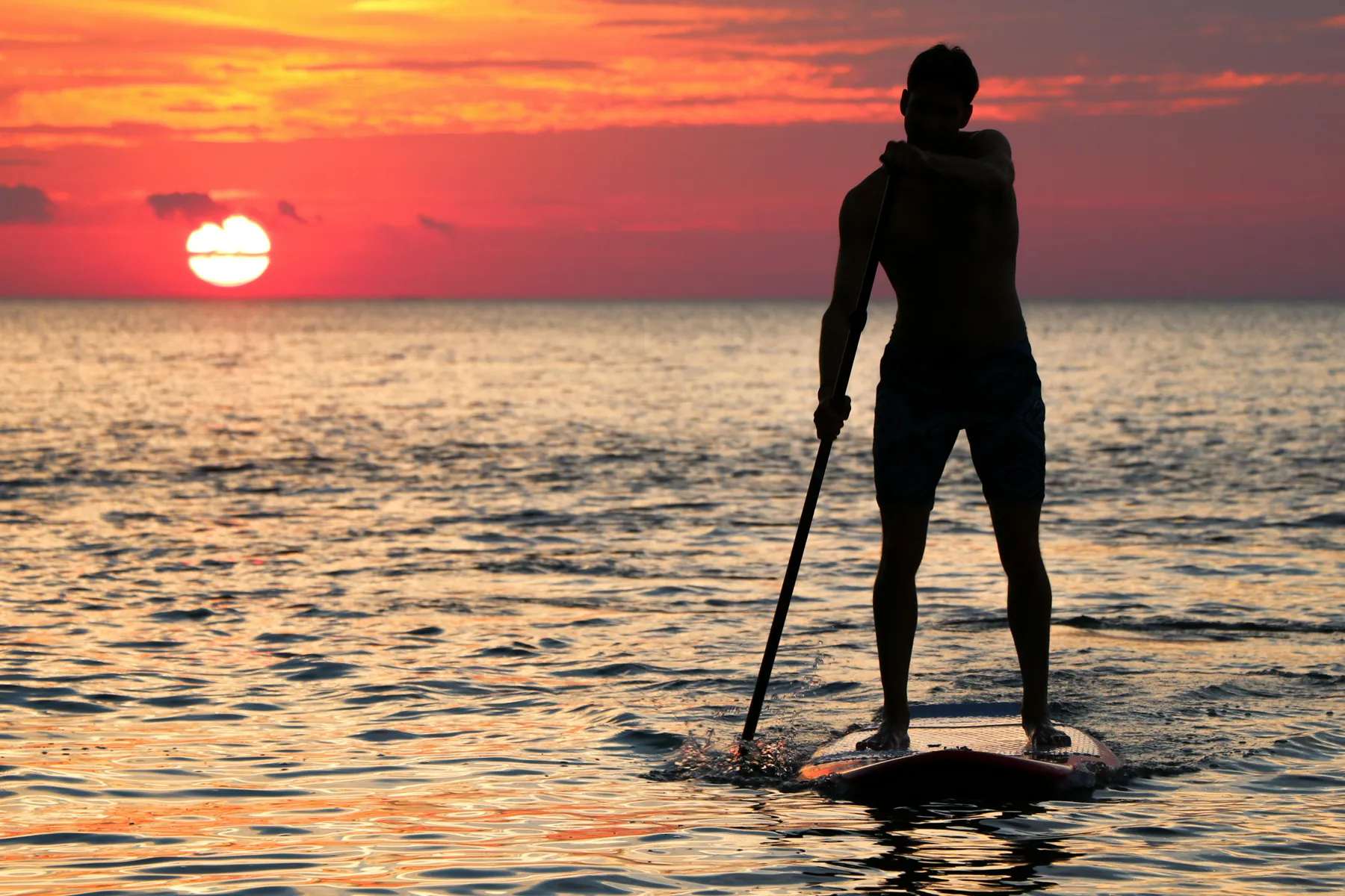 Aventura de paddleboarding al atardecer en mar en calma. Disfruta actividades adicionales en Tarifa para amantes de la naturaleza y deportes acuáticos.