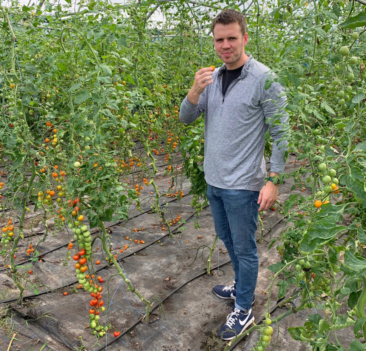 Organic Vegetables from beechlawn Farm which are getting supplied to As One Restaurant Dublin
