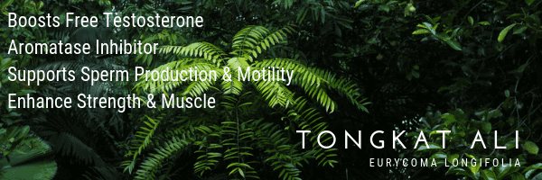 a close-up of some plants