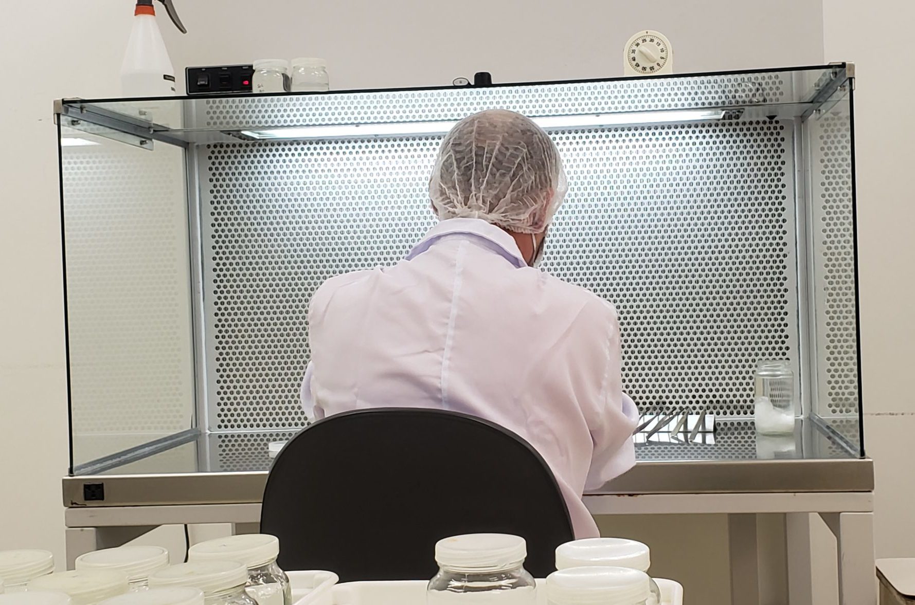 Pessoa de jaleco e touca trabalha em capela de fluxo laminar no laboratório de micropropagação