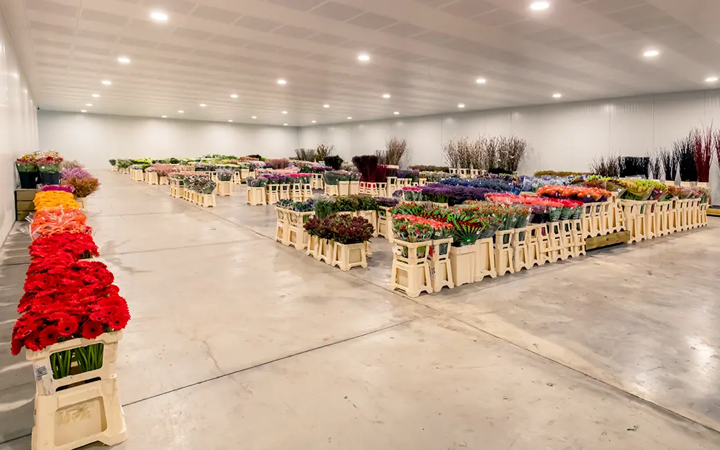 Voorraadlocatie vol met planten en bloemen