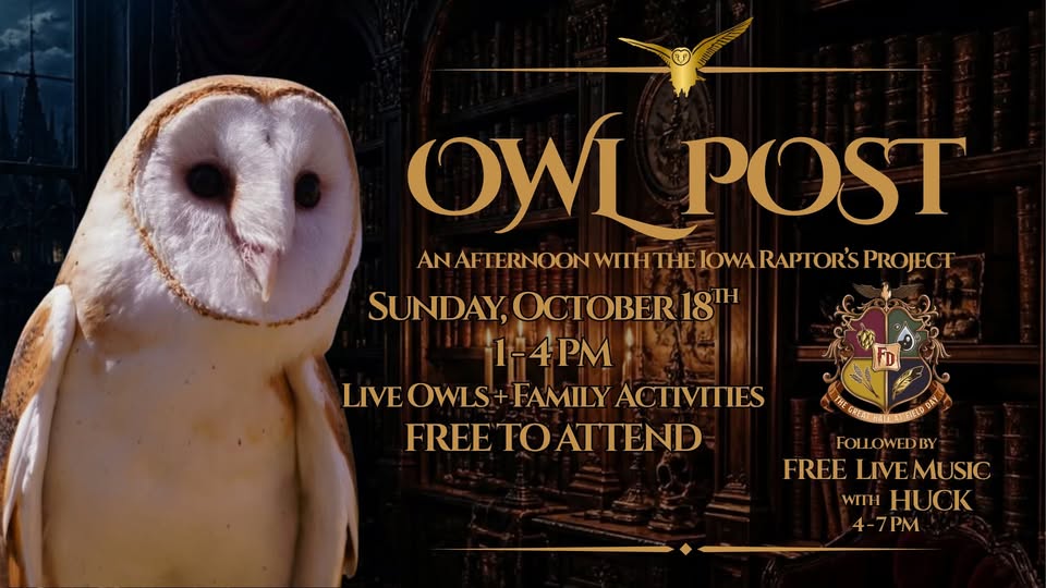 a graphic reading 'owl post' with a owl in the foreground